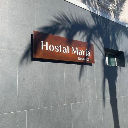 Hostal Maria Elx Esterno foto Hostel María